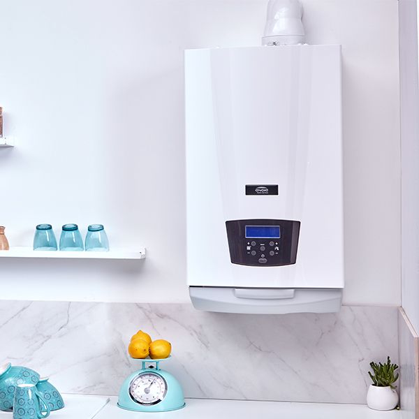 Eideris.34 – THPE – Image 3