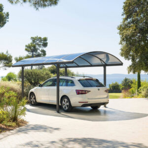 Carport Belize Noir – 2,94 x 5 x 2,23/2,50 – Aluminium, acier et polycarbonate